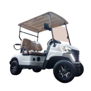 2-Seater Forward Electric Golf Cart
