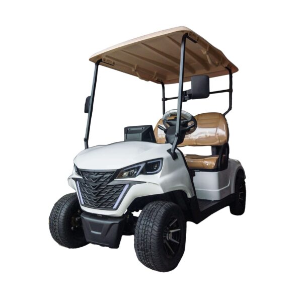 2-Seater Forward Electric Golf Cart