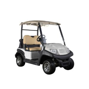 2-Seater Standard Electric Golf Cart