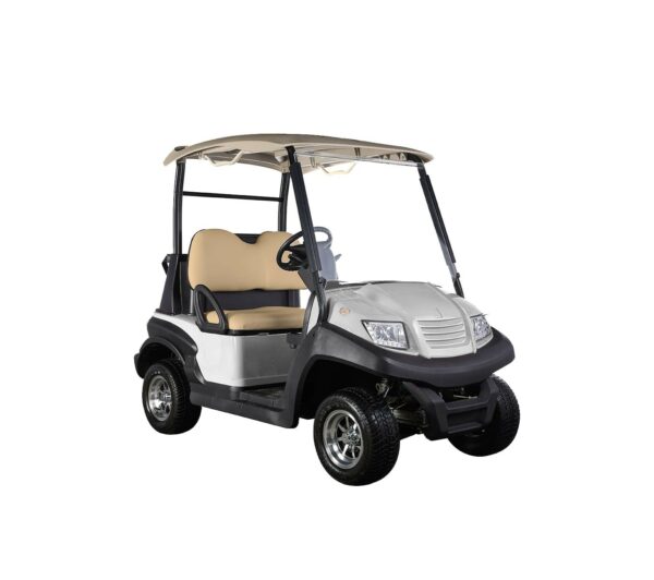 2-Seater Standard Electric Golf Cart