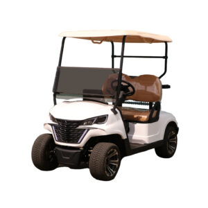 2-Seater Forward Electric Golf Cart (White) - Electric Eagle