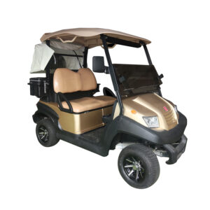 2-Seater Standard Electric Golf Cart (Gold) - Electric Eagle