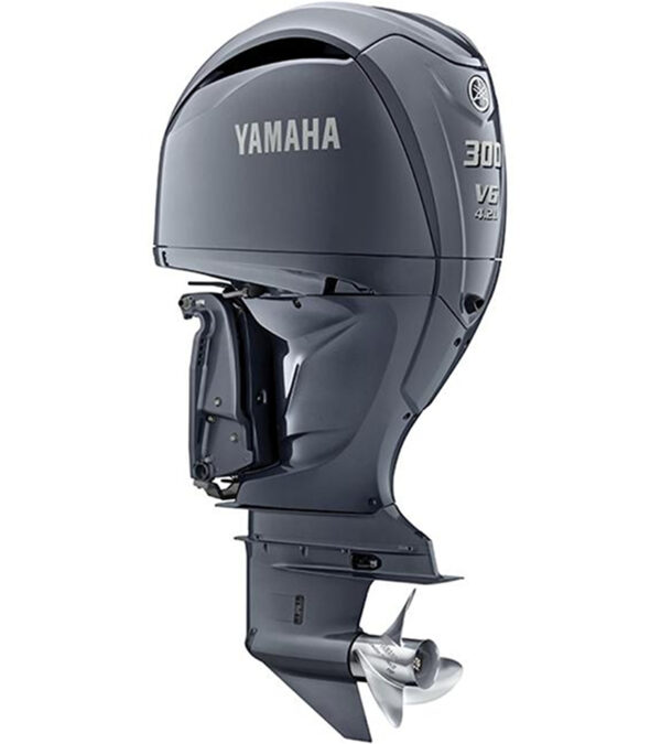 2023 Yamaha LF300XCB
