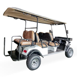 6-Seater Lifted Electric Golf Cart