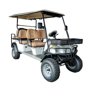 6-Seater Lifted Electric Golf Cart (White) - Electric Eagle