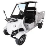 Golf Cart With Cargo Bed - Dragon-Era