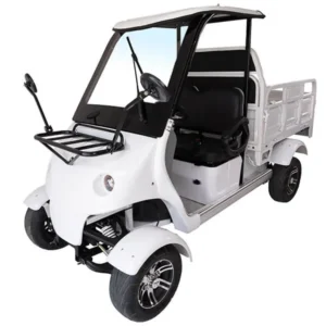 Golf Cart With Cargo Bed - Dragon-Era