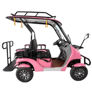 Mini Golf Cart with Rear Seat - Dragon-Era