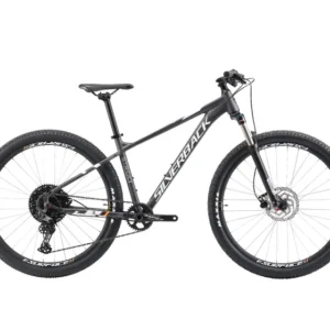 Silverback Stride Expert 29 Mountain Bike