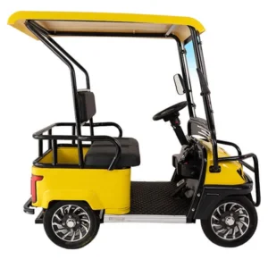 Single Rider Golf Cart - Dragon-Era