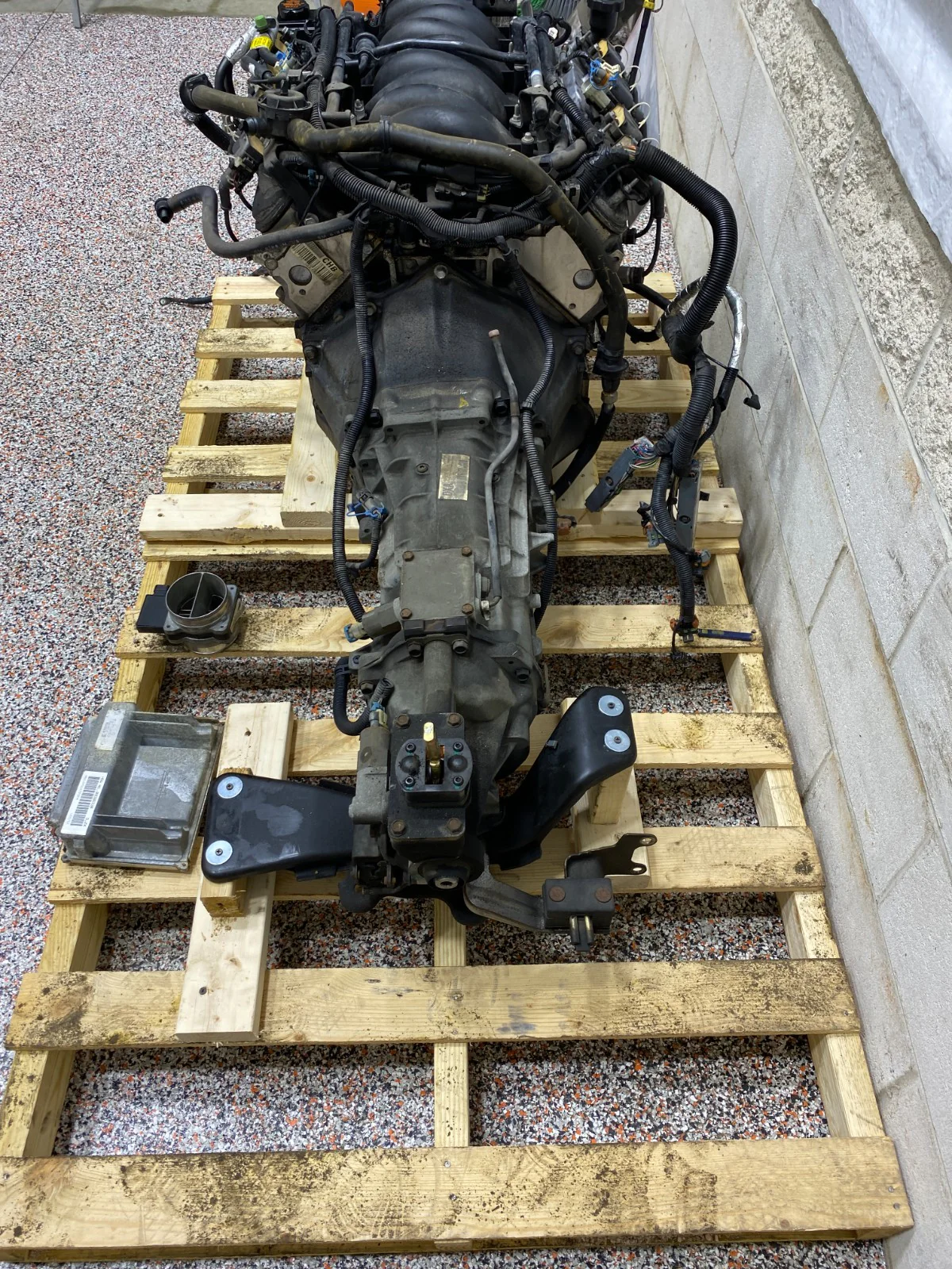 ls v8 engine for sale